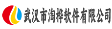 武汉市淘桦软件有限公司